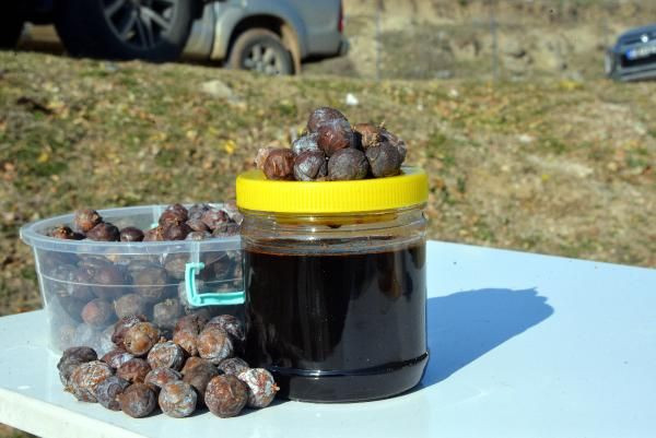 Paraya para demiyor! Kahramanmaraş'ta dağdan toplayıp satıyor fiyatı bakın ne kadar - Resim: 3