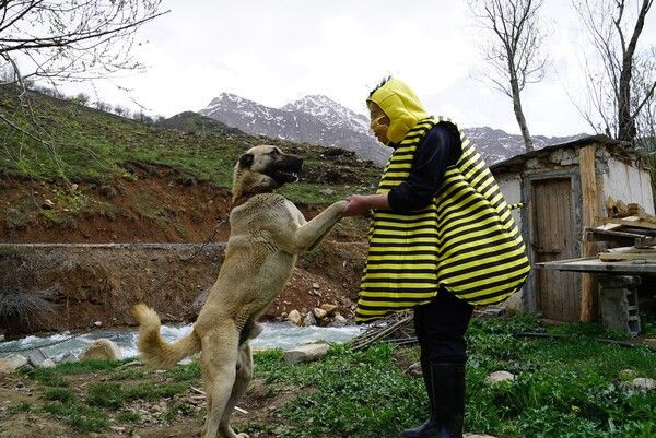 Hakkari'de görenler şaştı kaldı! Yine bir ilke imza attı: Önemli bir mesajım var - Resim: 2