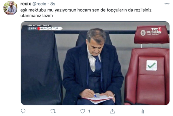 Macaristan Türkiye maçı sonrası Şenol Güneş yerden yere vuruldu: Aşk mektubu mu yazıyorsun - Resim: 2