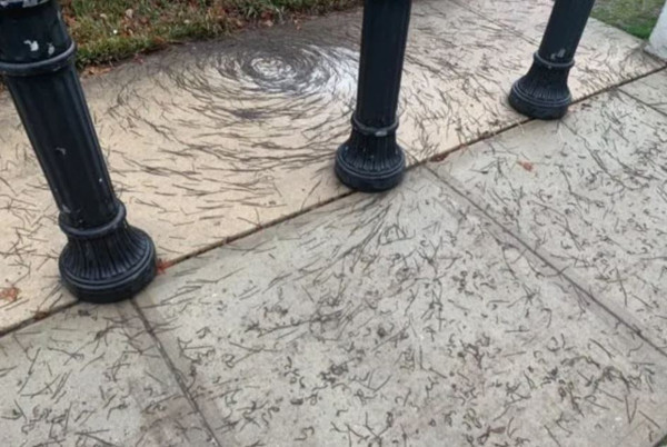 Tüyler ürperten görüntü! Yağmur sonrası parkta oluştu: İlk defa görüyoruz - Resim: 0