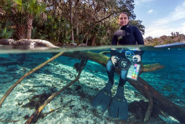 Sakın yemeyin! Hayır için bedavaya dağıtılıyor: Farkında olmadan zehirle dolduruyorsunuz - Resim: 3