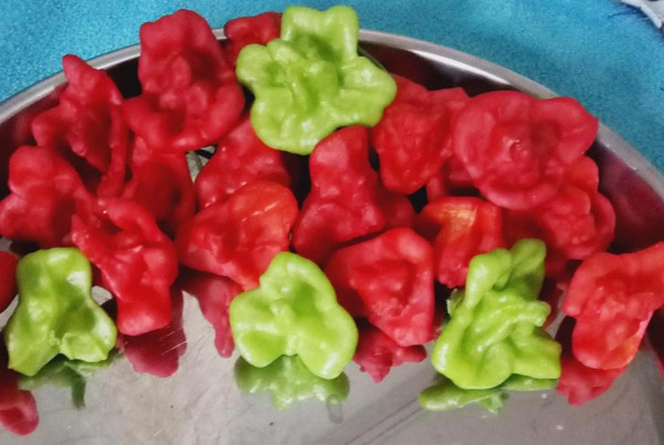 Kahramanmaraş'ta ilk defa yetiştirildi! Şeklini görenler telefona sarıldı - Resim: 0