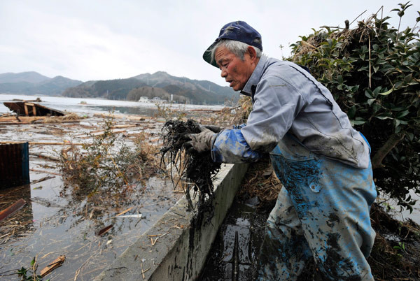 Yara saran Japonya'nın içler acısı görüntüsü    - Resim: 1