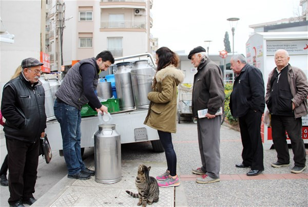 Bu köpek çok akıllı! İnsanlardan gördü alışverişi öğrendi - Resim: 4