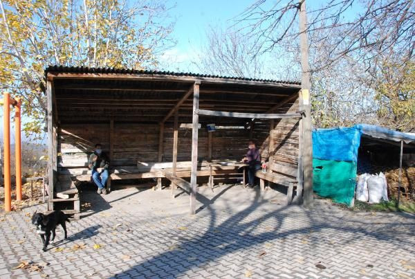 Covid-19 hiç görülmedi! Aliobası köyünden arsa satın almak için sıraya girdiler! - Resim: 1