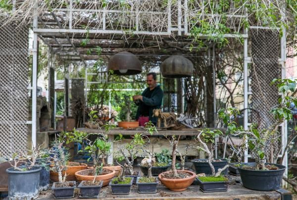 Japon ustadan eğitim aldı! Antalya'da tahtadan yapıp ev fiyatına satıyor - Resim: 2