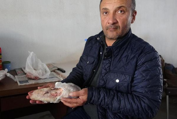 Devenin sucuğundan sonra diline büyük ilgi! İdrar kaçırma hastalığına iyi geliyor - Resim: 4