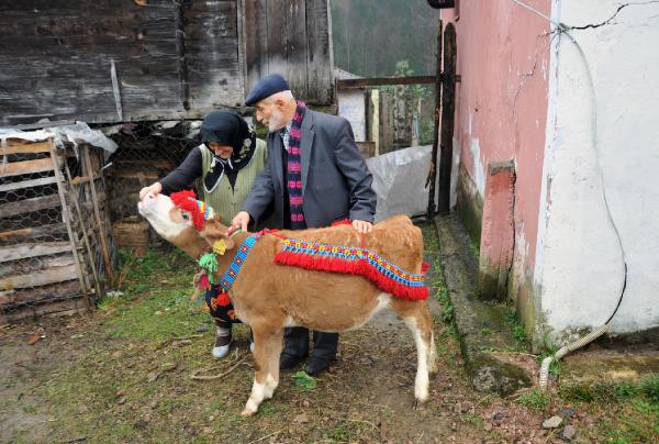 14 Şubat'ta en çok yalnızlar konuştu Sevgililer günü capsleri kırdı geçirdi - Resim: 1