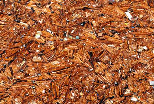 Japonya'nın çöpleri ABD'ye gidiyor - Resim: 1