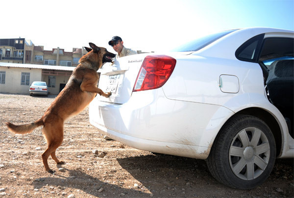 Kuzey Irak'ta Erdoğan heyecanı - Resim: 3