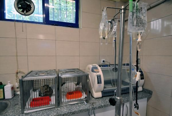 İzmir'de enkazdan günler sonra çıkartıldılar! Bakın ne isim verildi - Resim: 3