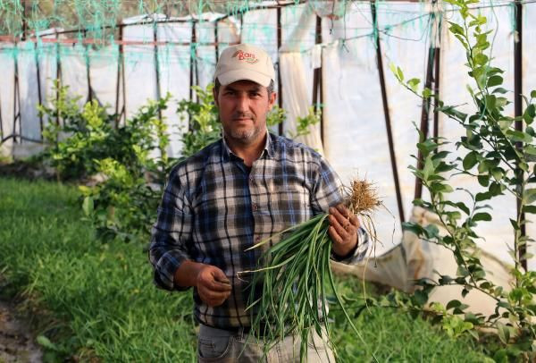 Antalya'da salgını fırsata çevirdi 100 günden 70 güne indirdi! Paraya para demiyor - Resim: 1