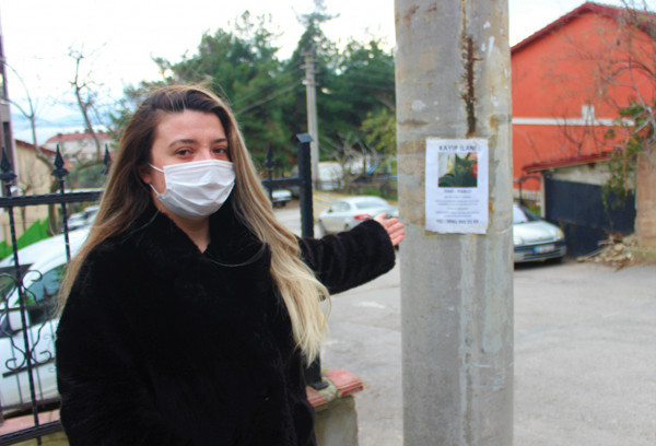 Kocaeli'de gece gündüz sokak sokak arıyor! Bulan 1500 TL kazanacak - Resim: 0