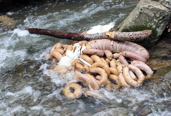 Şok görüntüler! At eti çıktı hem de restorana ait - Resim: 1