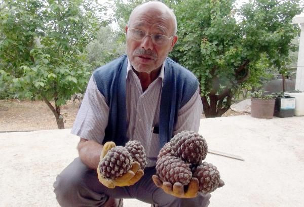 Gölgesi için dikmişti! Şimdi paraya para demiyor - Resim: 3