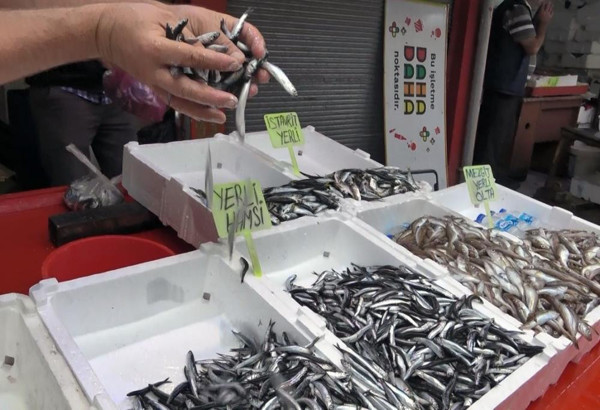 Hamsi sevenlere kötü haber! Kasım-Aralık ayında... - Resim: 0