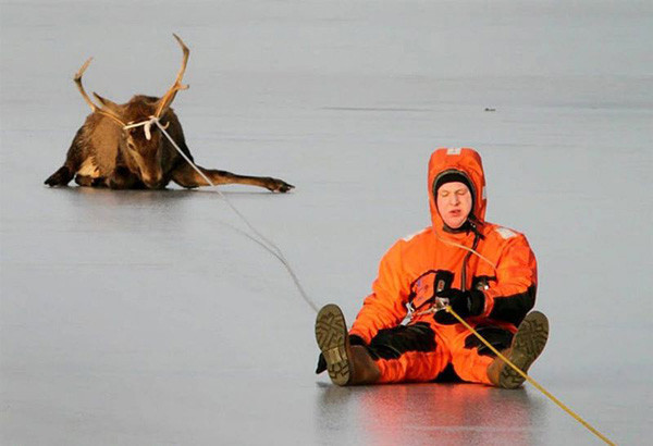 Bu hayvanlara inanamayacaksınız - Resim: 1