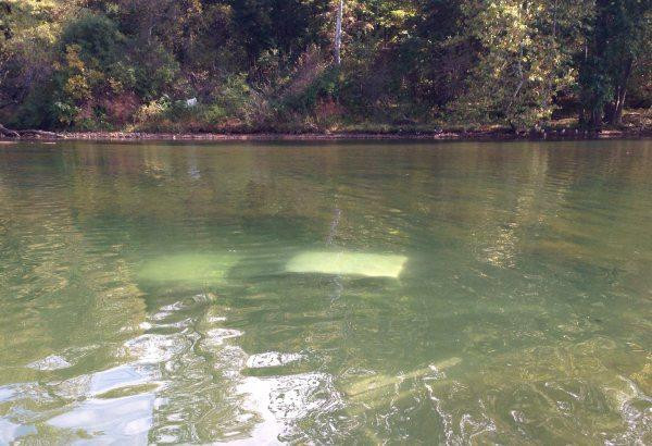 Kameralara takılan en ilginç kazalar - Resim: 4