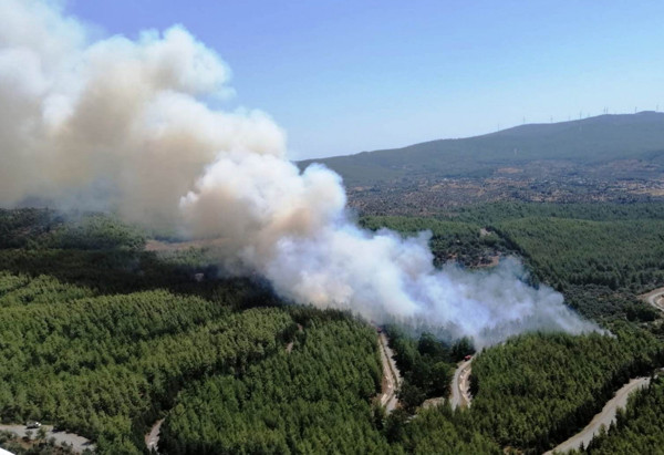 Muğla'da ormanda çıkan yangın köylere ulaştı! - Resim: 0