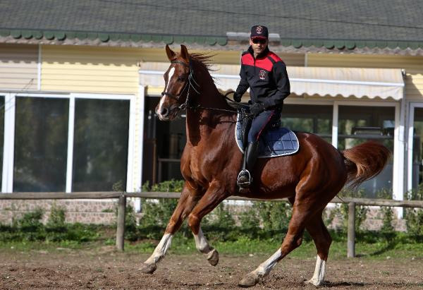 Yer Hollanda ya da Avusturya değil Türkiye! İşte atlı polisler - Resim: 3