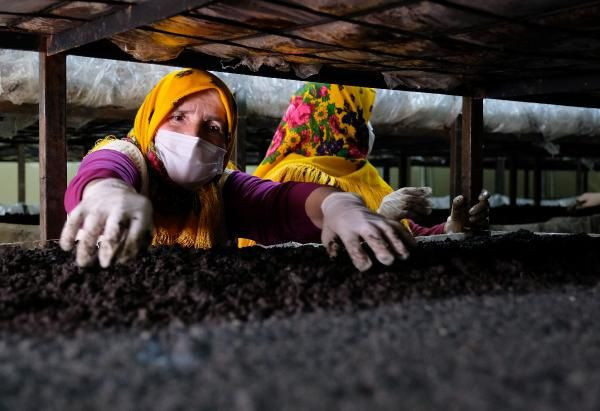 Aylık 40 bin TL gelir! Konya'da tonlarca ürettiler mahalle sabırsızlıkla bekliyorlar - Resim: 2