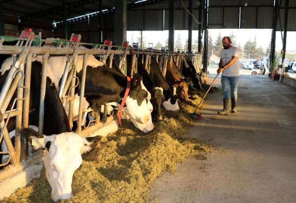 Afyonkarahisar'da kaptan hayalini gerçekleştirdi bu işe başladı! Tesis kurdu: Çok mutluyum - Resim: 3