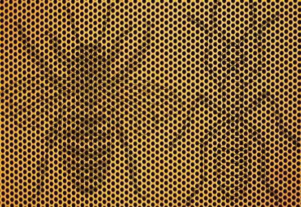 Bu resimdeki detayı fark ediyorsanız yüksek IQ'ya sahipsiniz demektir! - Resim: 0