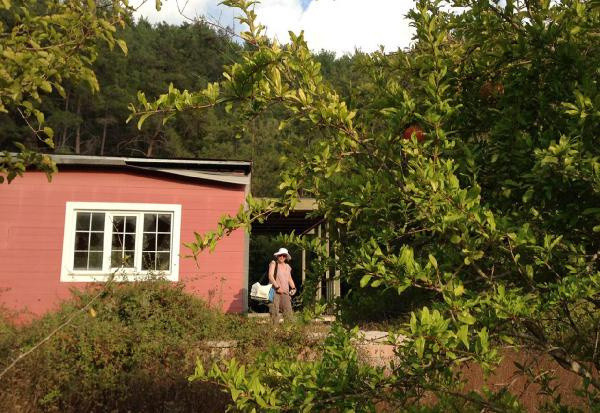 Almanya'dan tatile gelen adam Antalya'daki evini yerinde bulamadı - Resim: 1