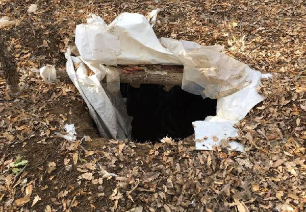 Hainlerin inlerine gidiyor! Bakın neler çıktı - Resim: 1