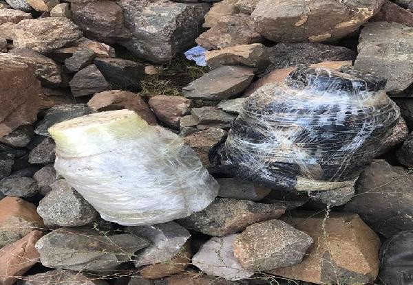 Hainlerin inlerine gidiyor! Bakın neler çıktı - Resim: 2