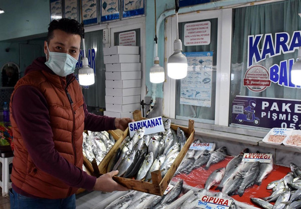 Sinop'ta ağlara takıldı! Karadeniz'in en değerlisinin fiyatı cep yakıyor - Resim: 0