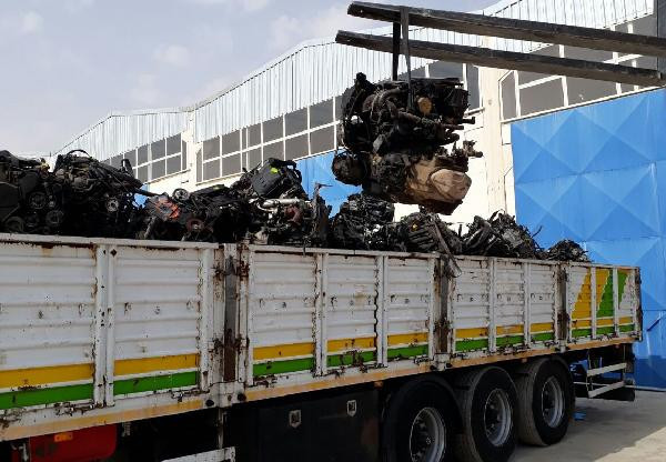 Görenler gözlerine inanamadı! Tam 118 tane... - Resim: 3