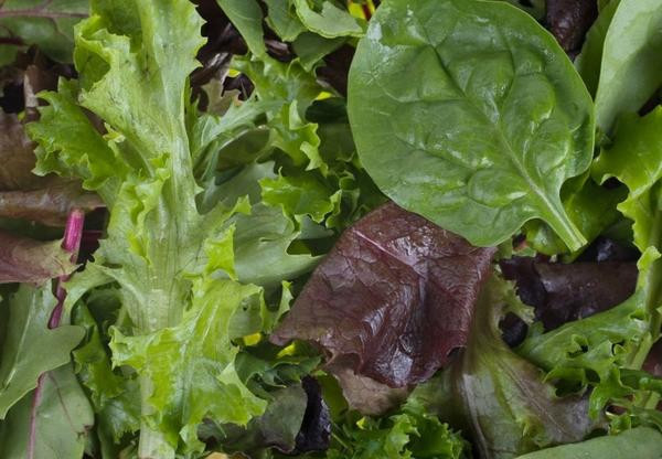 Gıdaların besin değeri nasıl yükseltilir? - Resim: 3