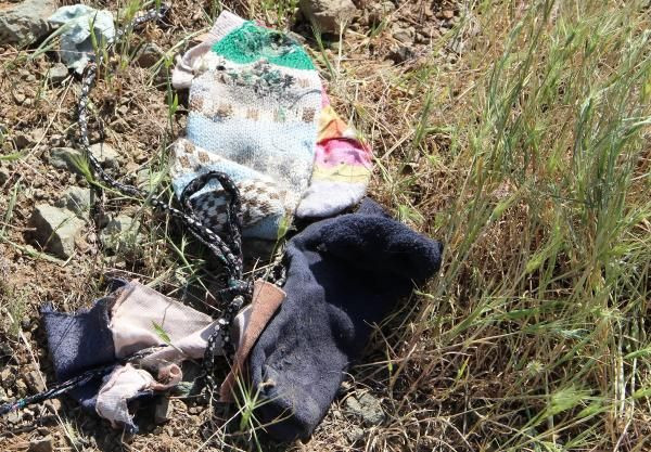 Elazığ'da dehşet! Köpekler yaşlı kadını parçaladı - Resim: 1