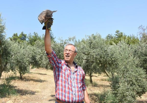 Tavuklarını yiyen kuşu yakaladı - Resim: 2