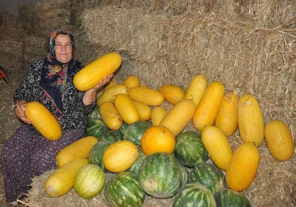 Tekirdağ'da hırsız almaza talep yağıyor para üstü olarak veriyorlar! - Resim: 4