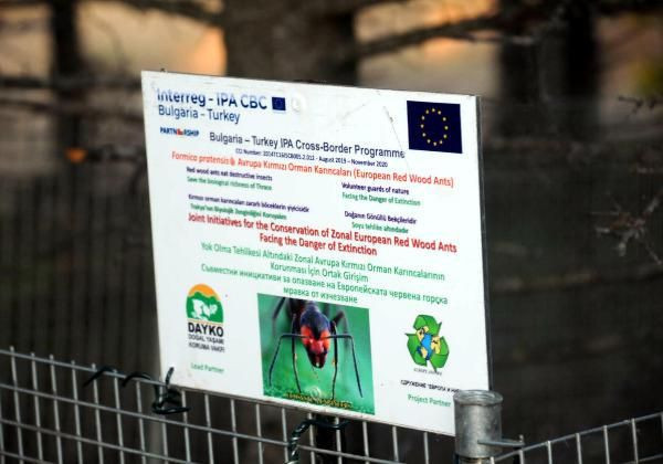 Trakya halkı görür görmez haber geriyor! Yuvaları için hemen kafes yapılıyor - Resim: 1