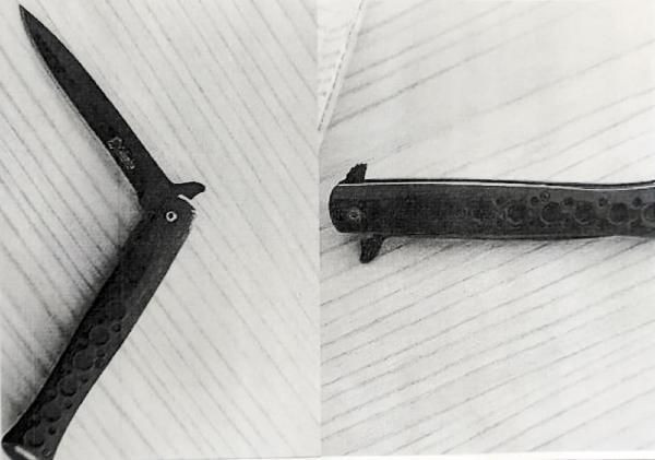 Kadir Şeker'den savcıya: Bıçağı internetten tespih çeker gibi oyun oynamak için aldım - Resim: 3