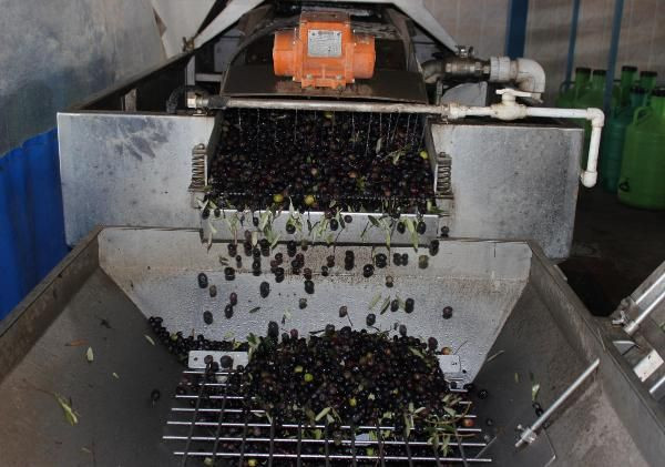 Eski imam Manisa'da bu işe başladı! Kazancı dudak uçuklatıyor - Resim: 4