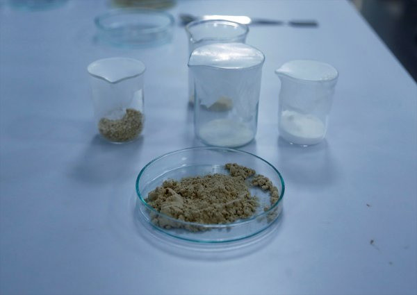 Gıda sektörü için yerli enzim üretildi! Türk bilim insanları başardı - Resim: 2