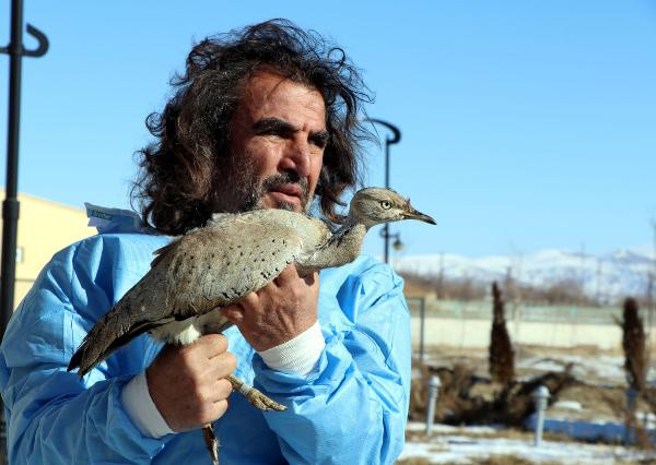Van'da ortaya çıktı! Hiç görülmemiş bir tür - Resim: 0