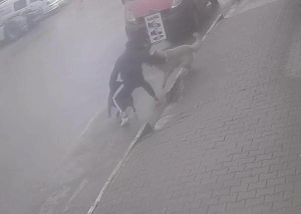 Köpeğine saldıran sokak köpeğini bıçakladı - Resim: 0