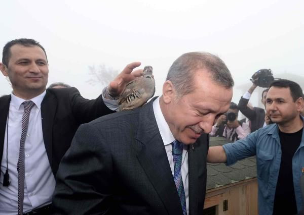 Erdoğan'ın zor anları Kafasına keklik kondu - Resim: 3