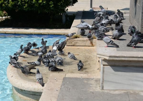 Meteoroloji'den 6 il için uyarı var! Hem yağacak hem yakacak bu saate dikkat - Resim: 4