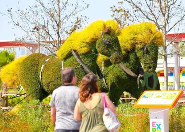 Bitkilerden heykeller büyük ilgi görüyor - Resim: 3