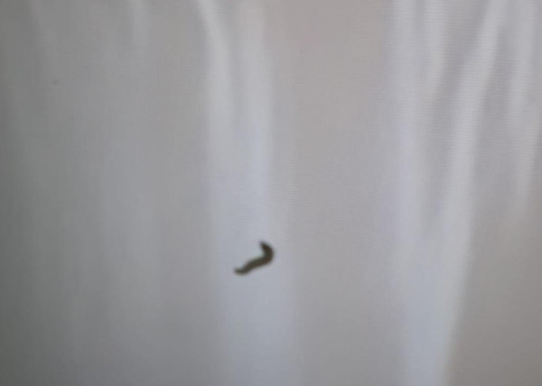 Elazığ'da TV'ye bakan aile hayatının şokunu yaşadı: Teknik servis inanamadı - Resim: 0