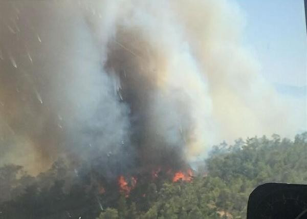Muğla'da ormanlık alan yanıyor dehşet görüntülere bakın - Resim: 4