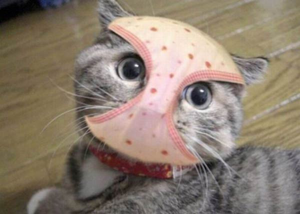 En ilginç fotoğraf kareleri! - Resim: 3