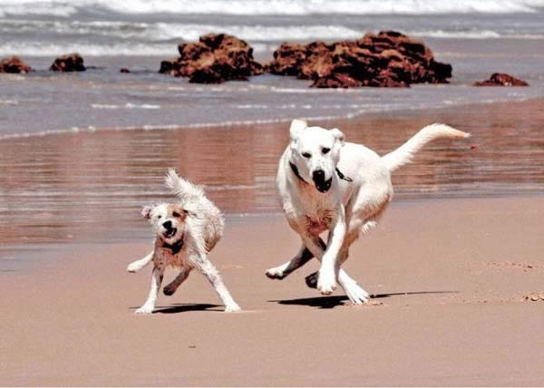 En ilginç fotoğraf kareleri - Resim: 2