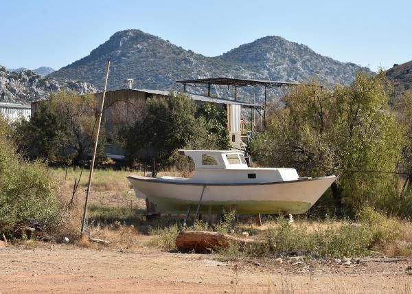 Dünya sıraya giriyor! Muğla'da tarlada gören şaşkına döndü - Resim: 3
